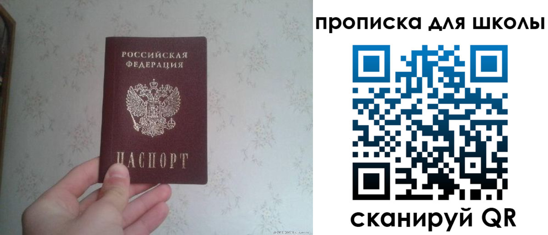 временная регистрация поиск в Ивантеевке